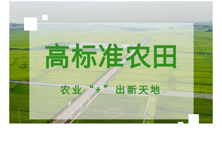 讓你徹底了解高標(biāo)準(zhǔn)農(nóng)田建設(shè)_01.gif